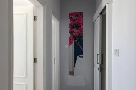 Kings Palace - Superb 2 Bed Ground Floor Apartment Paphos Eksteriør billede